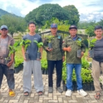 FORMAP Simpang Rimba Bagikan Ribuan Bibit Kopi, Dorong Pemulihan Lahan Eks Tambang dan Kesejahteraan Petani