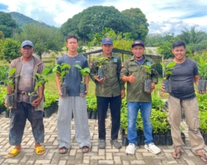 FORMAP Simpang Rimba Bagikan Ribuan Bibit Kopi, Dorong Pemulihan Lahan Eks Tambang dan Kesejahteraan Petani