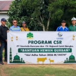 Menyambut Ibadah Idul 1447 H, PT Sawindo Kencana Bersama CV Rajawali Sakti Bangka Salurkan CSR Berupa Hewan Kurban
