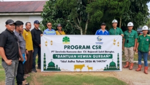 Menyambut Ibadah Idul 1447 H, PT Sawindo Kencana Bersama CV Rajawali Sakti Bangka Salurkan CSR Berupa Hewan Kurban