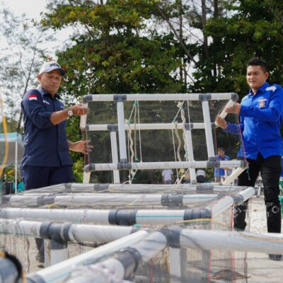 PT TIMAH dan HNSI Kolaborasi Tenggelamkan Atraktor Cumi di Perairan Bangka, Bantu Nelayan Hemat Biaya Melaut dan Jaga Ekosistem Pesisir